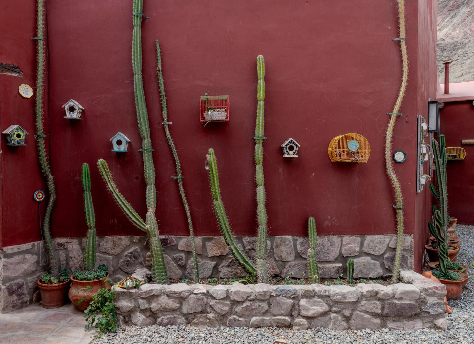 Posta De Purmamarca Bed & Breakfast エクステリア 写真