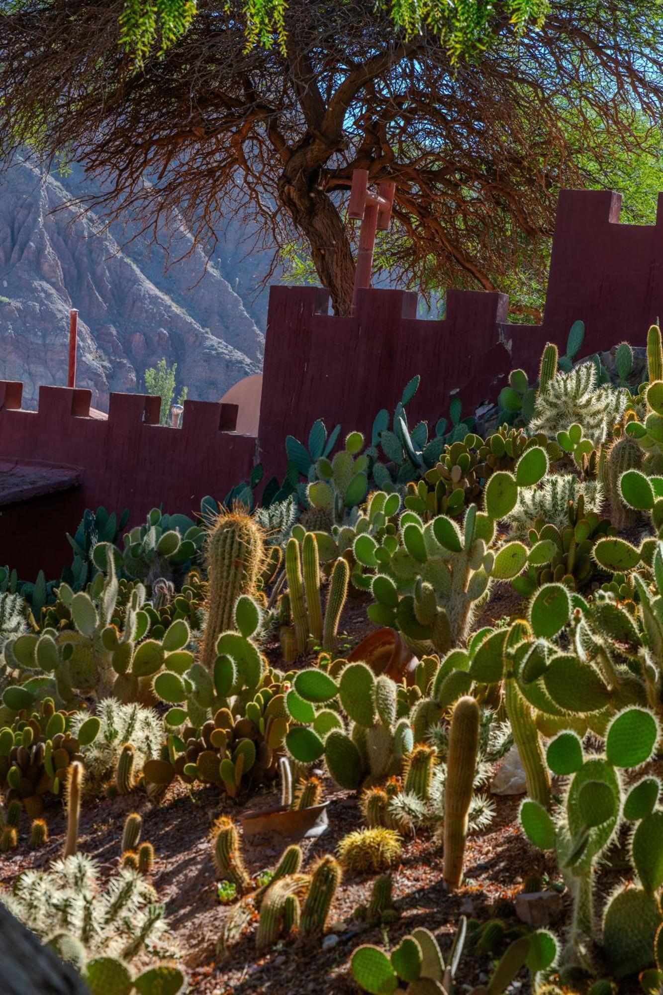 Posta De Purmamarca Bed & Breakfast エクステリア 写真